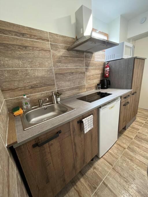 Superbe Appartement A 15 Min De Lyon Saint-Fons Exterior foto